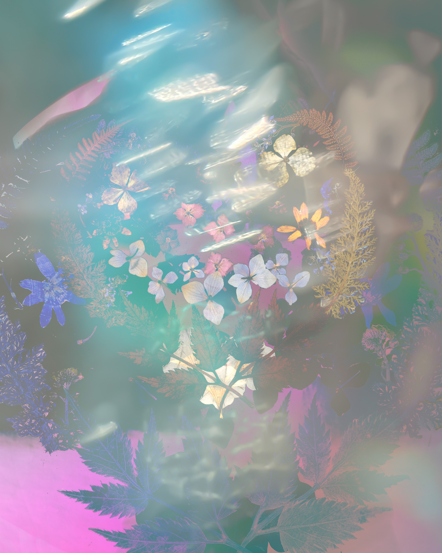 JESSICA_BERGER_GARDEN_PHOTOGRAPHIC PRINT_2023
